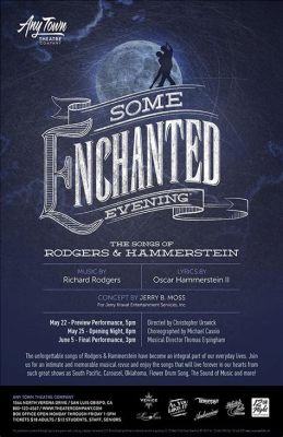 Elham's Enchanted Evening: A Night of Music, Mystery, and Missed Opportunities